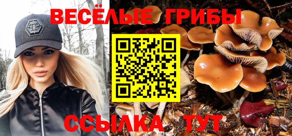 Бошки Шишки Качканар