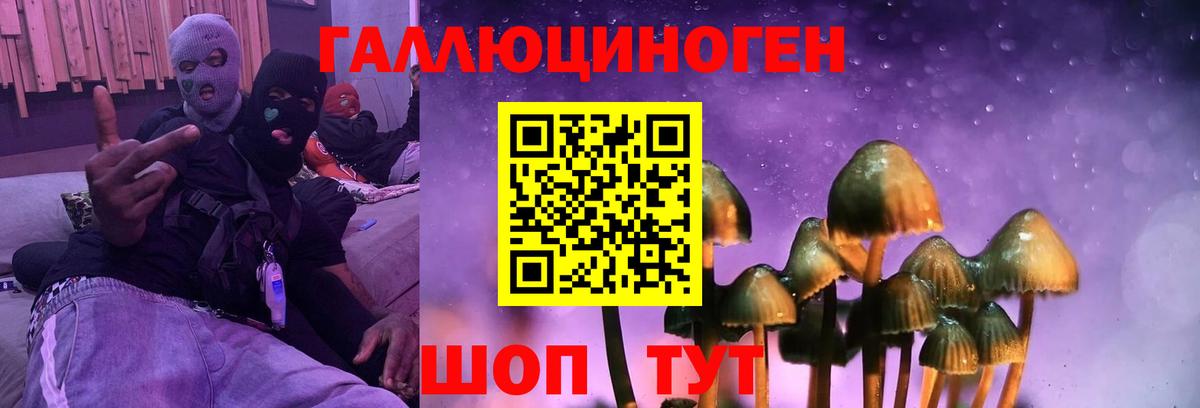 Качканар  Галлюциногенные грибы прущие грибы  Псилоцибиновые грибы мухоморы  Вход с VPN 